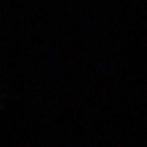 Meet your Posher, Lee